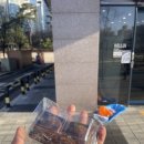 102 | 김포 걸포동 두쫀쿠 102베이커리 vs 로마니나 내돈내산 솔직 후기