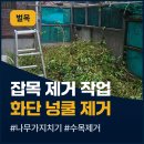 검단공구상가 | 김포 상가 민원 나무 잡목 제거 화단 가지치기 작업 업체 후기