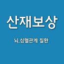 참조은행정사사무소 이미지