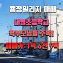 용정공인중개사사무소 | 강화 대월초등학교 용정빌리지 매매(유투브)