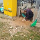 안의농약사 이미지