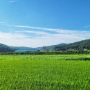 사호경로당 이미지