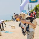 부산교통기사식당 이미지