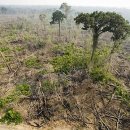 우림목장 이미지