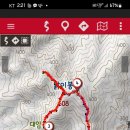 진산인삼