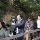 탄도만 이미지