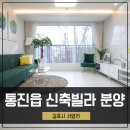 통진초등학교 주변 이미지