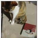 부성상회 이미지