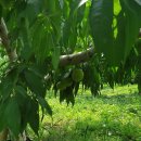 기북농장 이미지