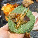 신월동120 | 신월동고기집 | 엉터리 무한대패 신월본점 이용시간 120분의 무한리필 후기