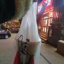 [대련여행] 중국 남방항공 다롄(大连) 도착 / 노면전차 탑승 / 러시아 거리