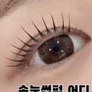 상남동255 이미지