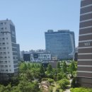 충무공동-1 이미지
