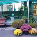 태종아리랑 이미지