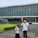 Sac on screen 아빠닭 | 제주아트센터 'PapaHen 아빠닭' 캐나다 극단 놀이음악극 관람 후기