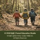 텃밭과 함께하는 생태체험놀이 | [유아숲 텃밭 탐험] 별을 닮은 보라색 요정, '가지꽃'의 모든 것! (아이와 함께하는 관찰 놀이)
