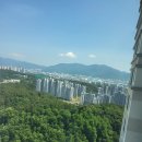 세븐건설공인중개사사무소 이미지