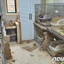 고양이 주택 이미지