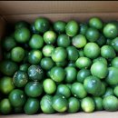 이창희농장 이미지