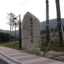 용인시 관광안내소(한국민속촌) 이미지