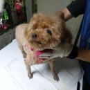 간석지구대 이미지