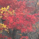 폭포약수 이미지