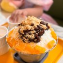 커피마을 - 안동시 태화중앙로 72 | 지중해마을 카페 마노커피 내돈내산 후기