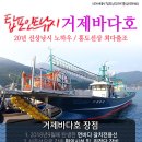 목감낚시 26일 거제탑피싱 바다호 한치 이미지