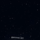 블루테니스