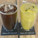 포레스트디바