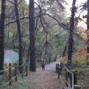 안용주골 이미지