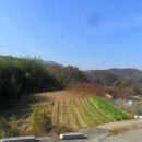대암마을회관 네이버블로그