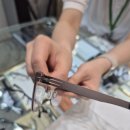 아이젠트리 안경원 아시아드점 이미지