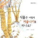 분포초등학교 이미지