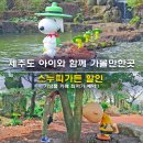 아르떼 퍼피 | 제주 스누피가든 할인 기념품 카페 최저가 예약 제주도 아이와 함께 가볼만한곳