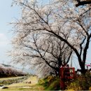 금산천1길 이미지