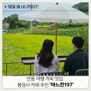 아느칸197