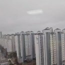 펠리시티3차 이미지