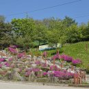 오월, 아름다운 산돌자연학교 풍경 이미지