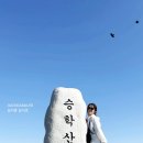 엄광산임도 | 부산 억새 명소 시기 승학산 등산 코스 꽃마을 하산 플로깅