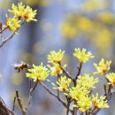 비우고 채우고 이미지