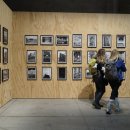 가우리 GAURI 이미지