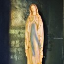 천주교 신정동 성당 이미지