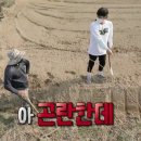 성훈농장 이미지