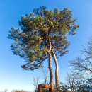 바우지움 조각 미술관 이미지