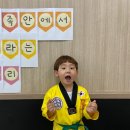 경희대동성태권도 이미지