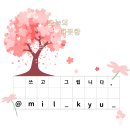 럭키 권투 체육관 | 럭키권투체육관 복싱 2회차 후기