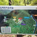 제천 치유의 숲 이미지