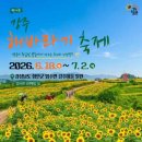 강주해바라기축제 완전 정복 / 완벽 가이드: 4만2천㎡ 노란 물결 · 박터널 포토존 · 백일홍 총정리