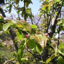 정원회관 이미지